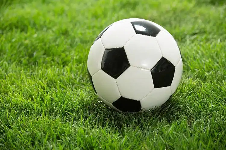 球迷社交互动场景